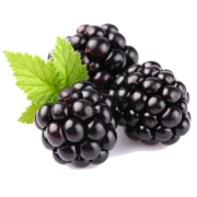 BLACKBERRY